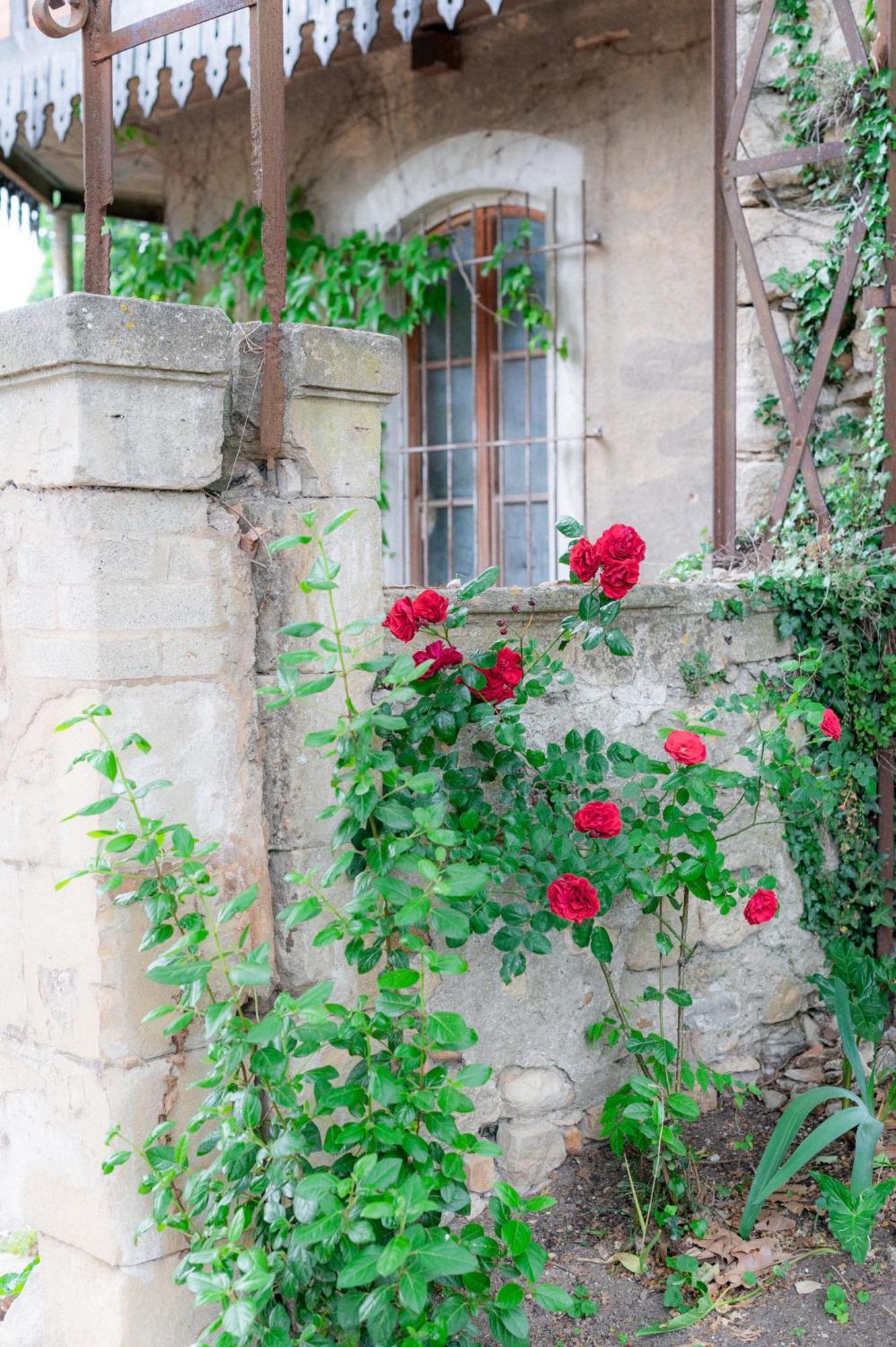 Chambres D'Hotes B&B - Chateau De Sienne Proche Avignon Orange Piscine Riviere Chusclan Exterior photo