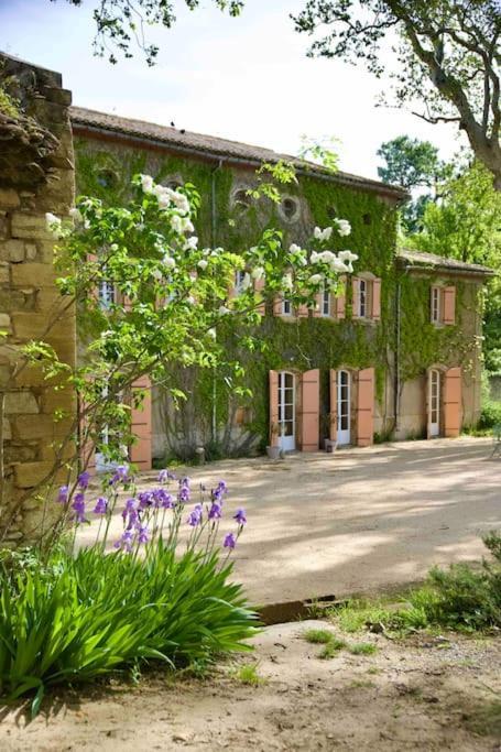 Chambres D'Hotes B&B - Chateau De Sienne Proche Avignon Orange Piscine Riviere Chusclan Exterior photo